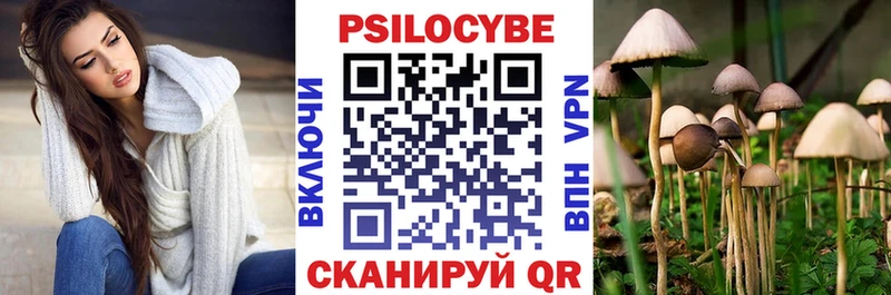 Псилоцибиновые грибы MAGIC MUSHROOMS  где можно купить наркотик  Прокопьевск 